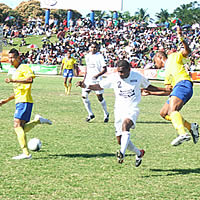 NZ based trio to join Suva for IDC